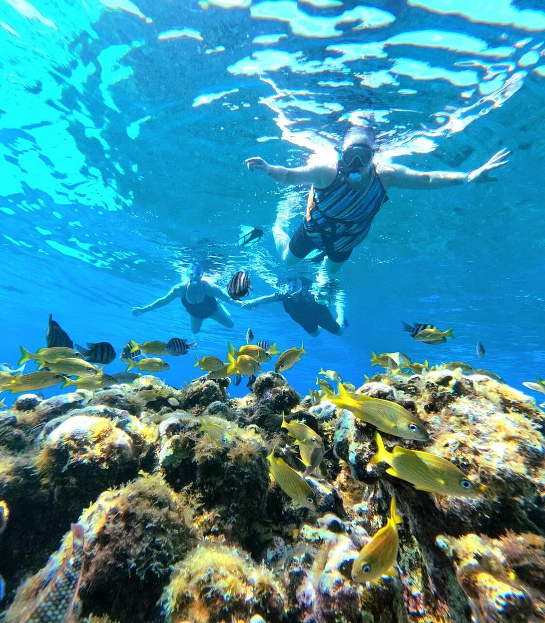Snorkeling over the reef in Cozumel